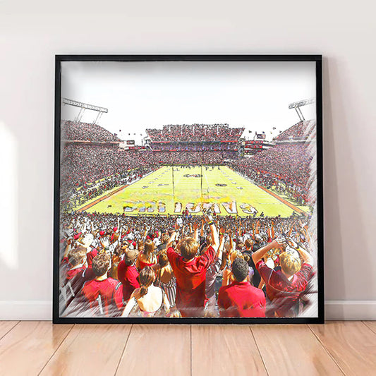 Williams-Brice Stadium Print, Artist Drawn Football Stadium, South Carolina Gamecocks Football