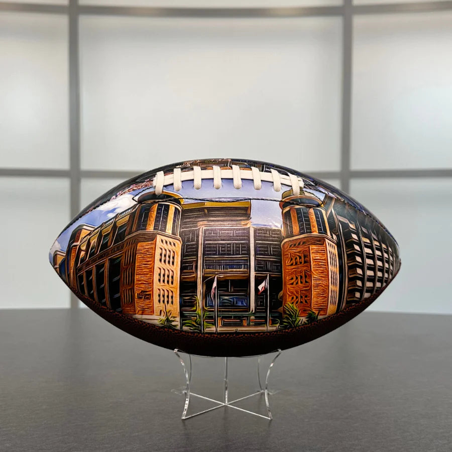 Darrell K Royal Memorial Stadium Football Painted Series(Texas)