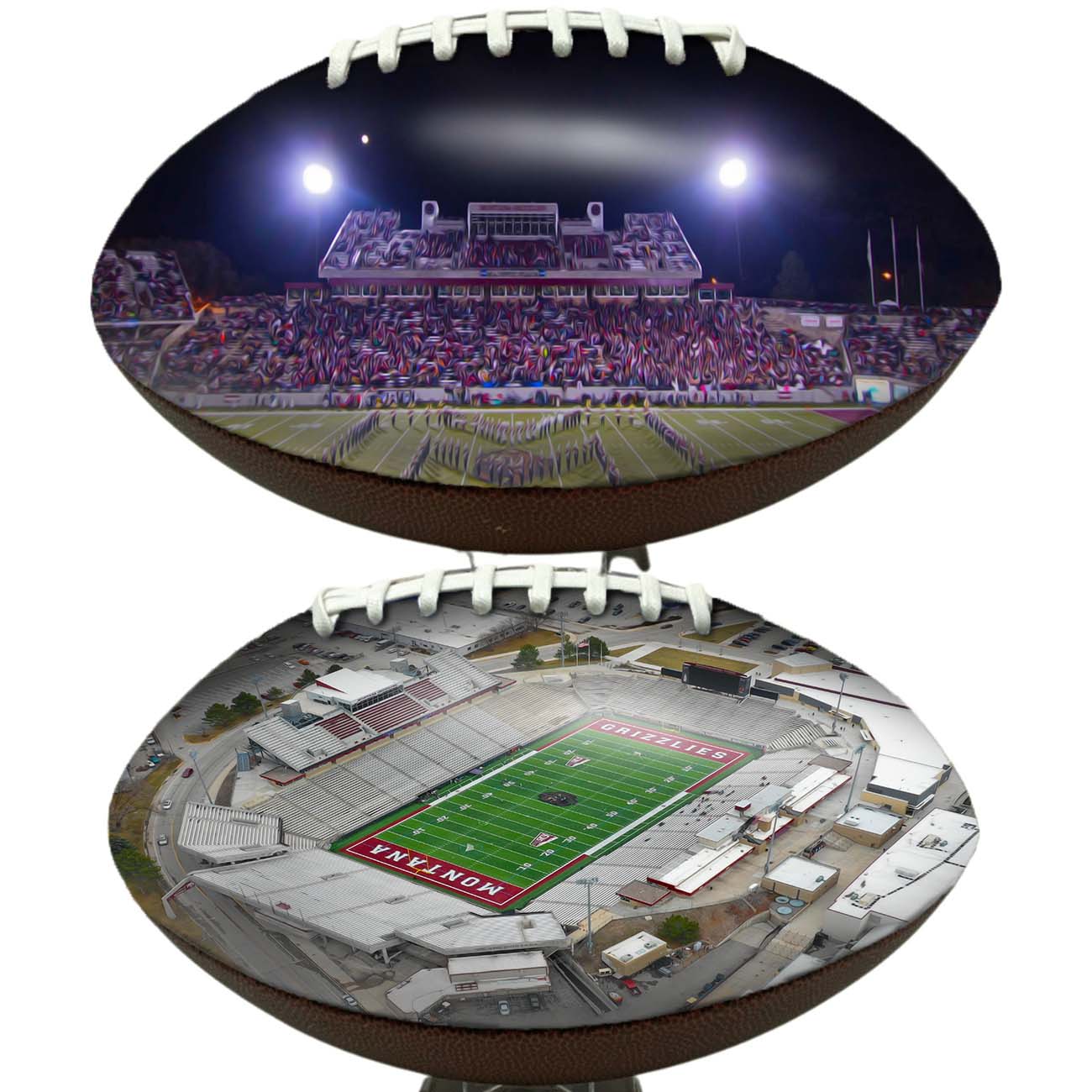 Washington-Grizzly Stadium Football University Series
